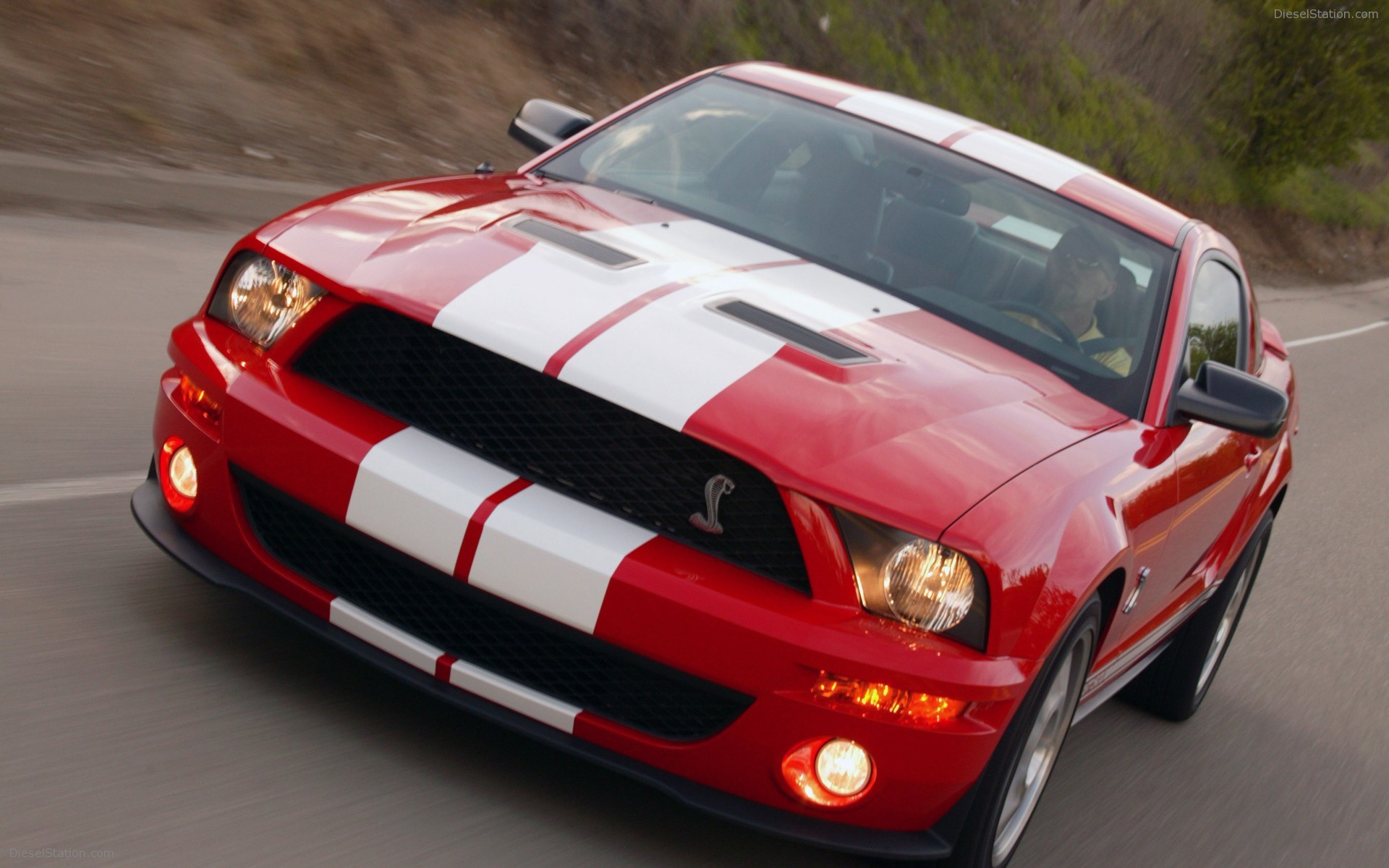 Ford Shelby Cobra GT500